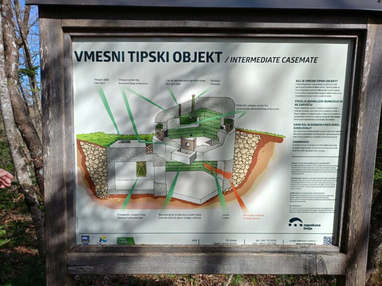 oplus_2